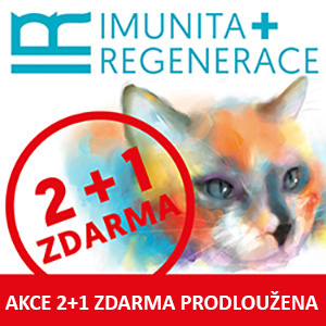 300_300_eshop_ctverec_upoutavka_kocka 2025 PRODLOUŽENA